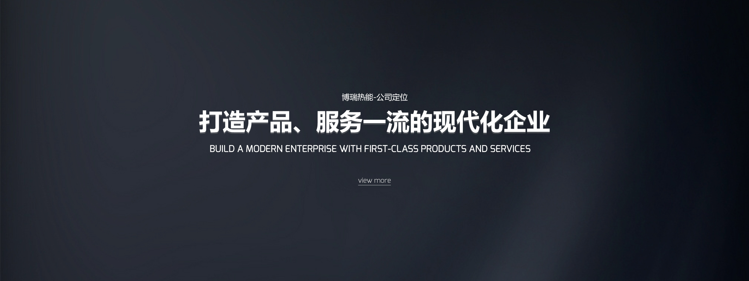 公司定位